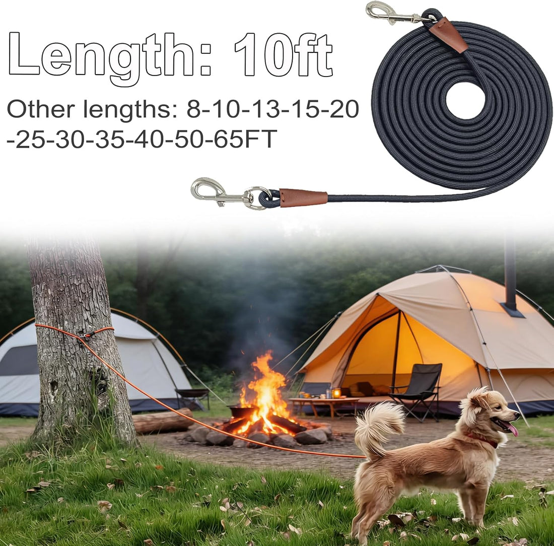 SEPXUFORE Tie Out Rope Dog Leash
