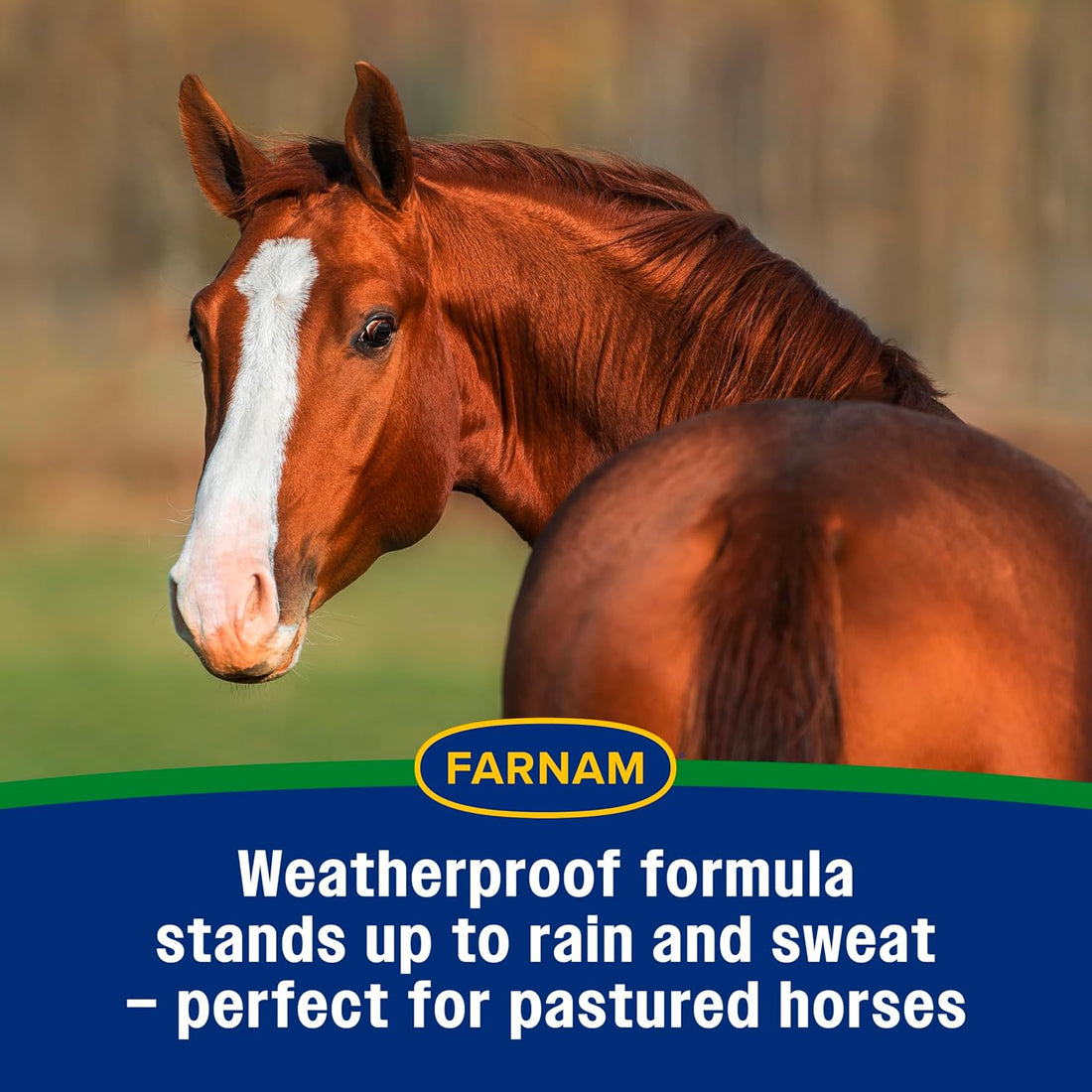 Farnam Equi-Spot, Weather Proof Targeted Spot On Protection