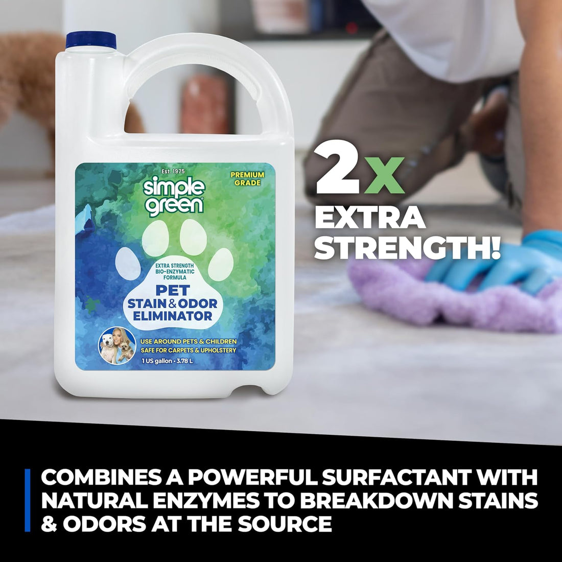 Simple Green Pet Stain and Odor Eliminator 1 Gal