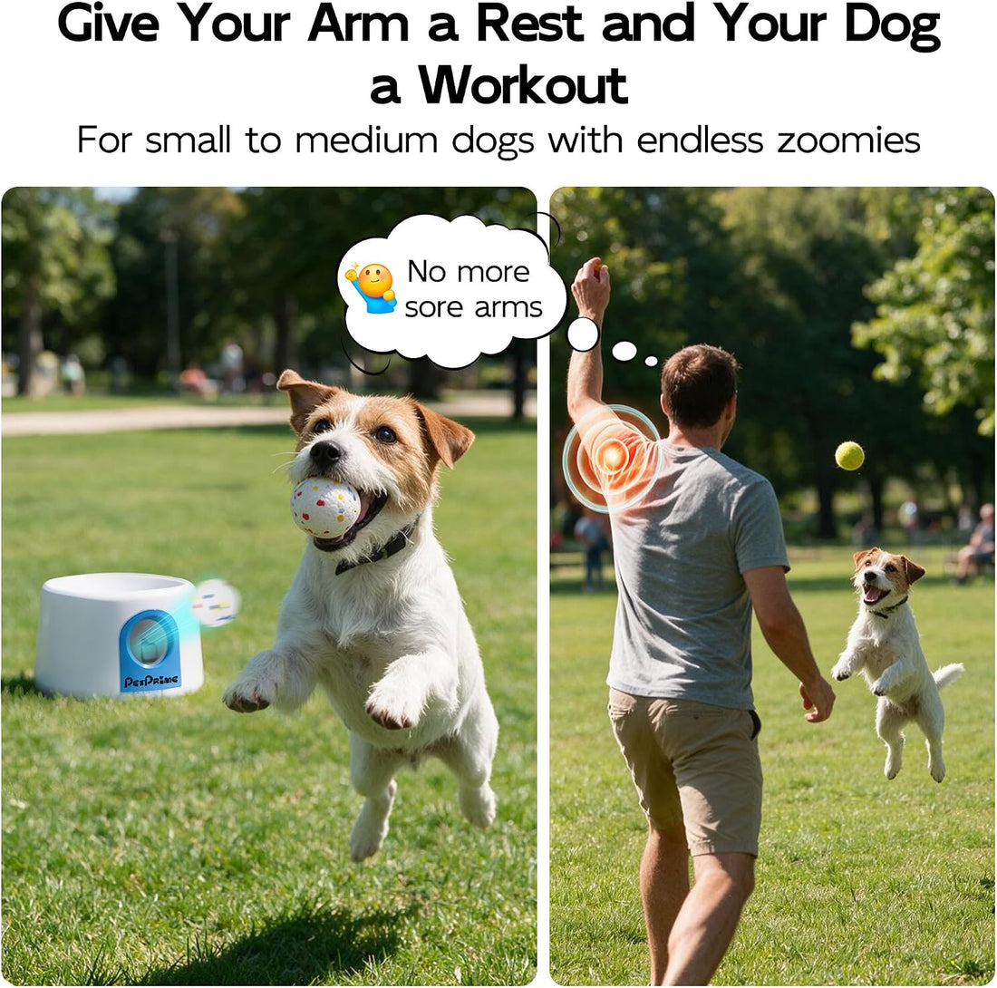 Pet Prime Upgraded Automatic Dog Ball Launcher for Small/Medium
