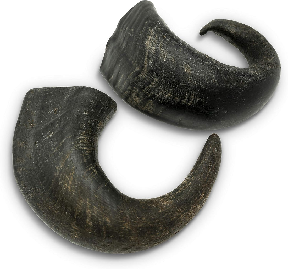 Wild Eats Water Buffalo Horn Dog Bones and Chews, 4 Pack, Medium