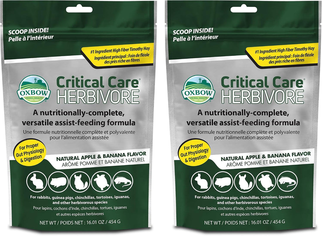 Oxbow Critical Care Herbivore Small Pet Formula, Apple Banana, 141g