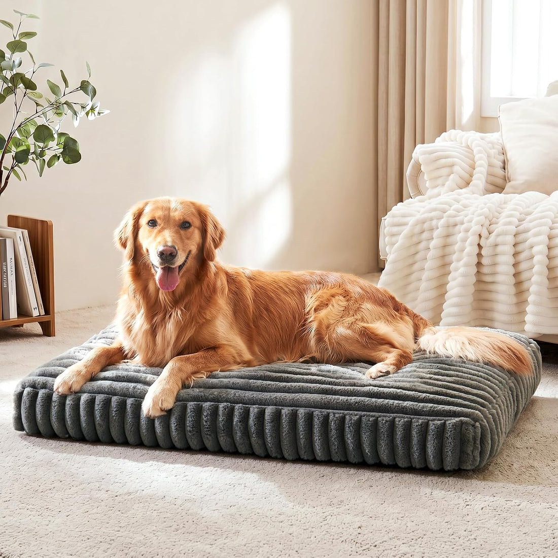 FURTIME Orthopedic Dog Beds Large Sized Dog