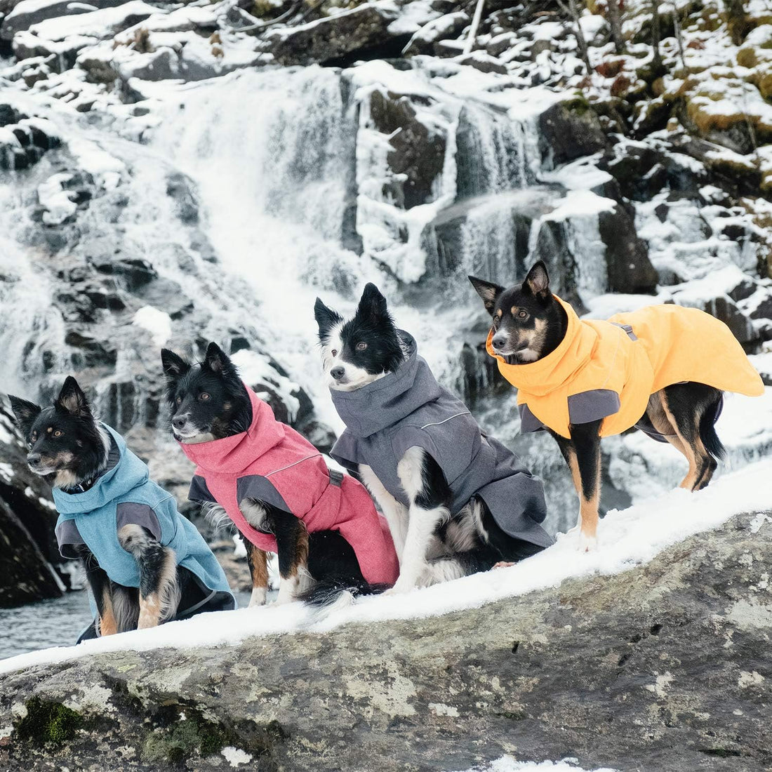 Hurtta Expedition Parka, Winter Dog Coat, Beetroot, 12 in