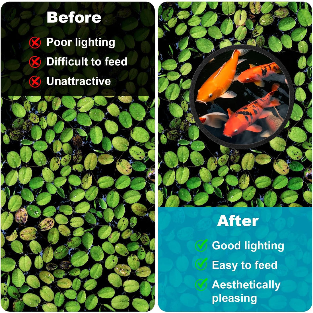 OIIKI 10 PCS Fish Feeding Rings Sets, Floating Aquarium Plant Corral