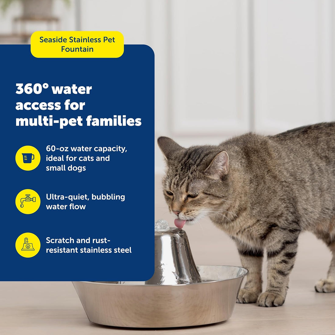 PetSafe Seaside Stainless Steel Cat & Dog Fountain
