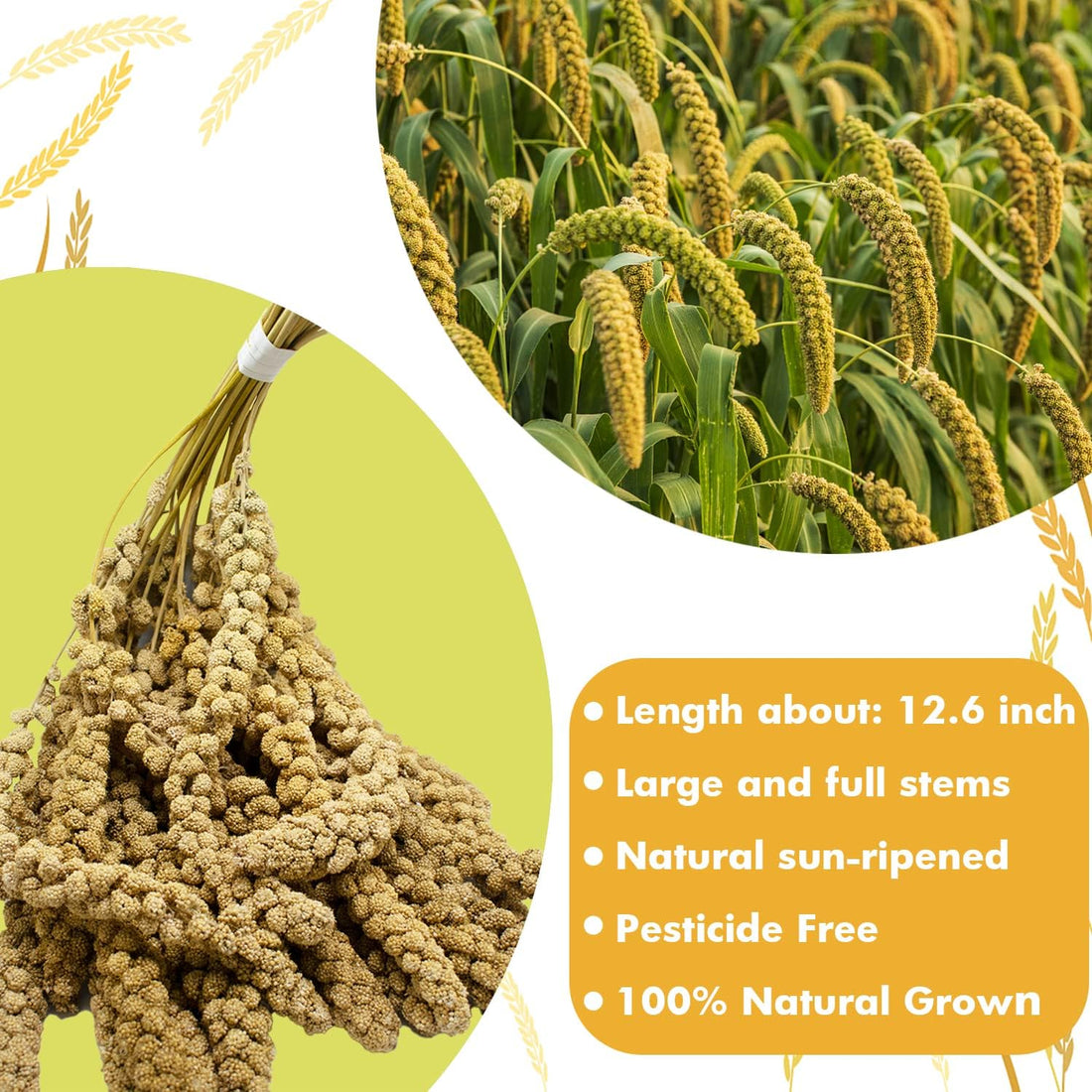 Jmxu's Spray Millet Treat for Birds Parakeets
