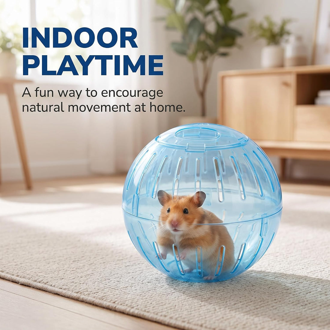 2Pcs Blue and Pink Hamster Balls Transparent Dwarf Hamster Exercise