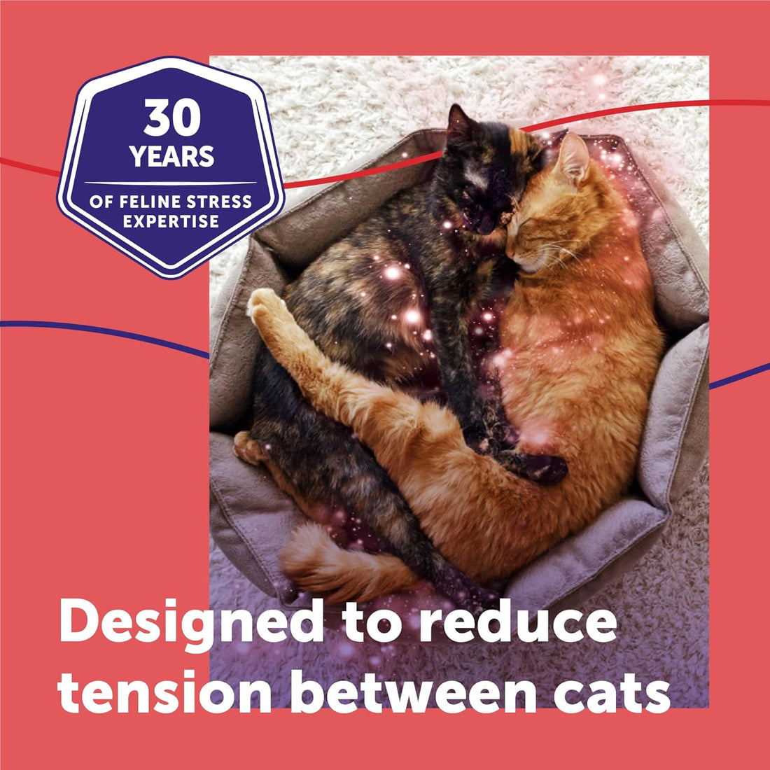 FELIWAY MultiCat Cat Calming Diffuser Kit (2 Pack)