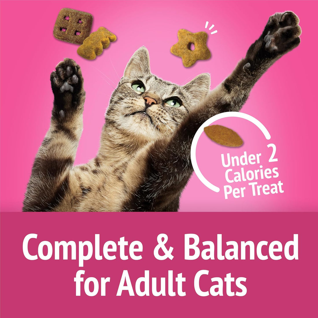 Purina Friskies Party Mix California Crunch with Chicken and Flavors