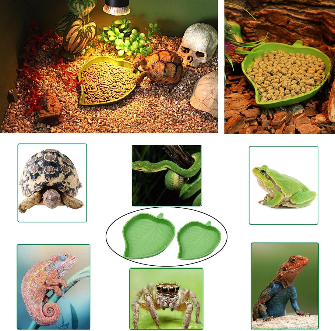 3pcs Tortoise Food Dish with Ramp and Basking Platform Leaf Tortoise