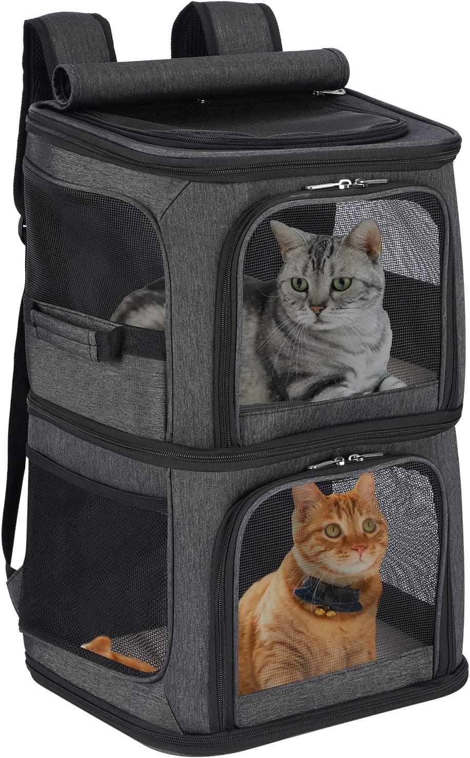 2-in-1 Double Pet Carrier Backpack for Small Cats & Dogs