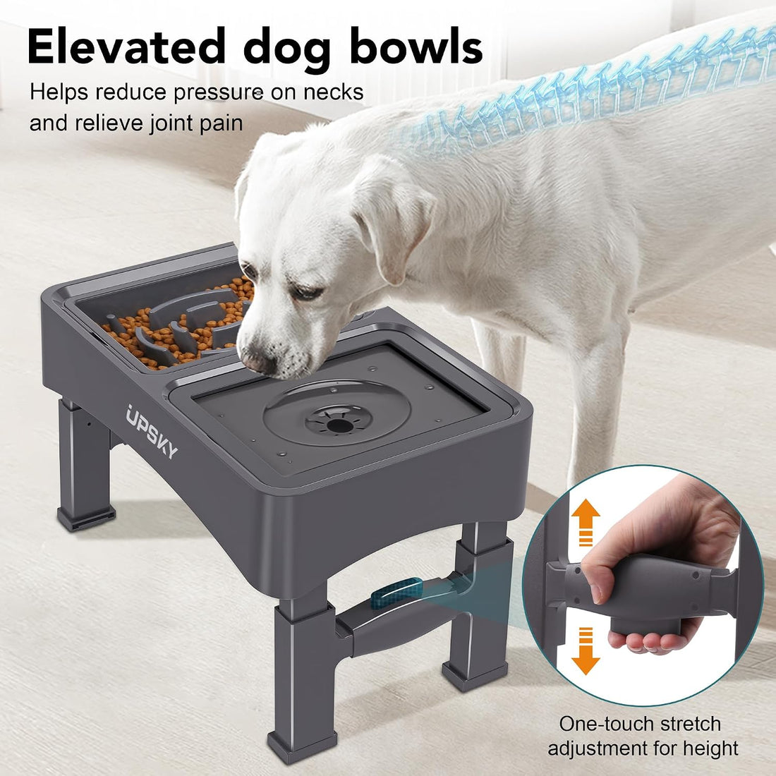 UPSKY 2-in-1 Elevated Dog Bowls Slow Feeder