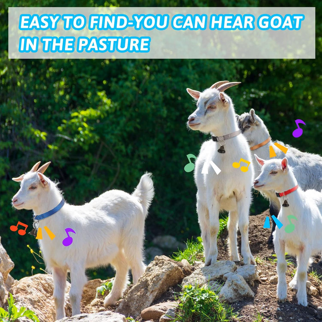 Jexine 12 Sets Goat Collars with Bells Anti-Lost Grazing Pet Collar