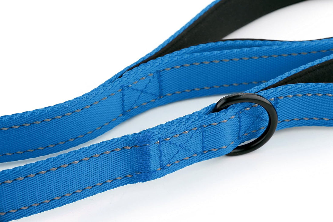 Primal Pet Gear Dog Leash 8ft Long - Blue - Traffic Padded Two Handle