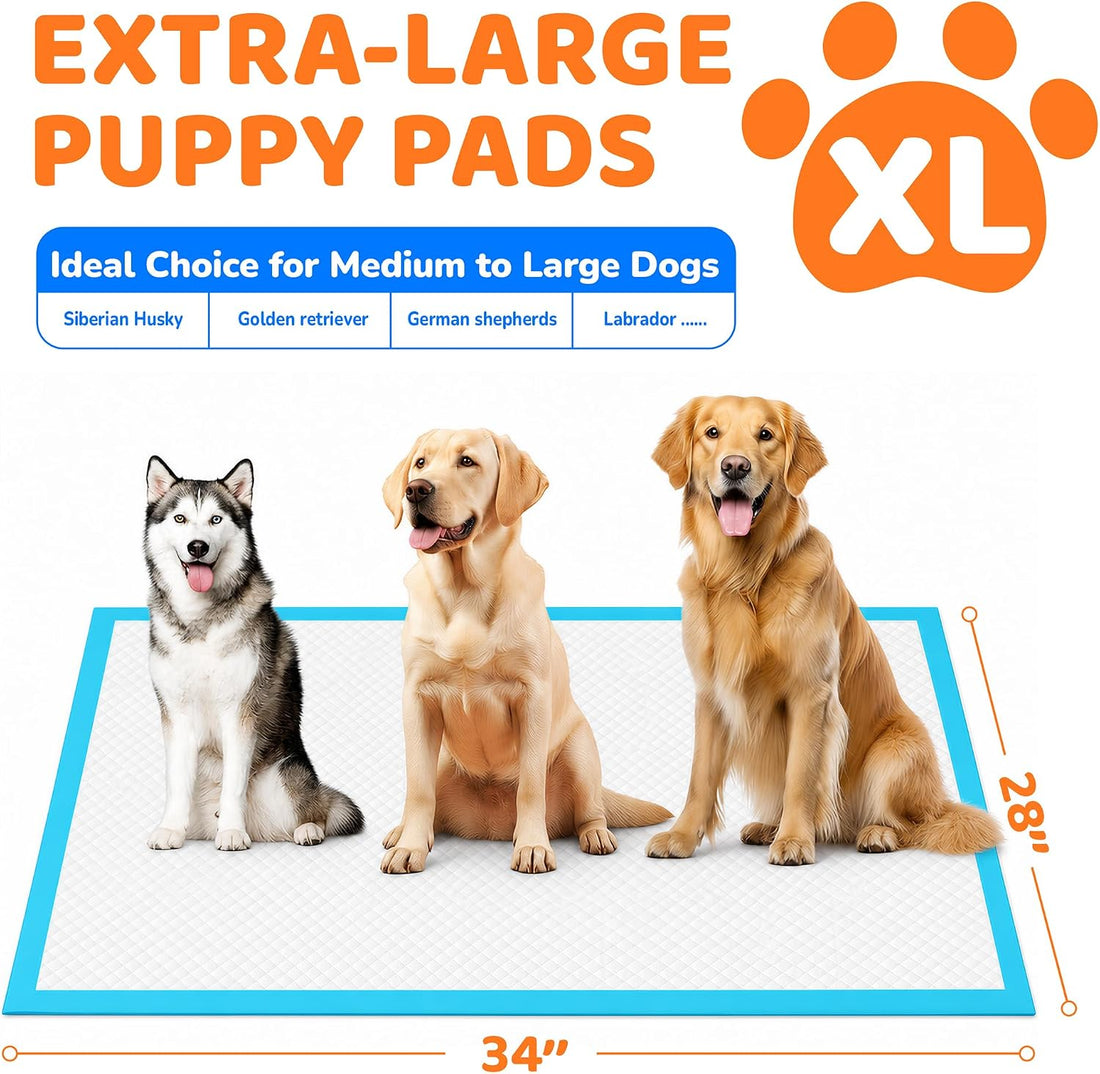 100 Count Puppy Pads 28"x34", Extra Large, Super Absorbent