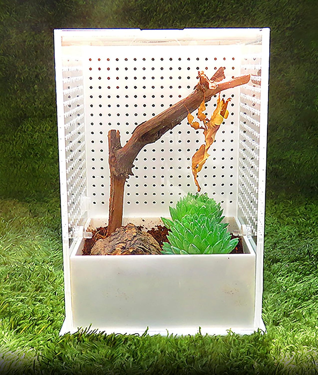OMEM Reptile Breeding Box, Insect Incubator, for Orchid Mantis