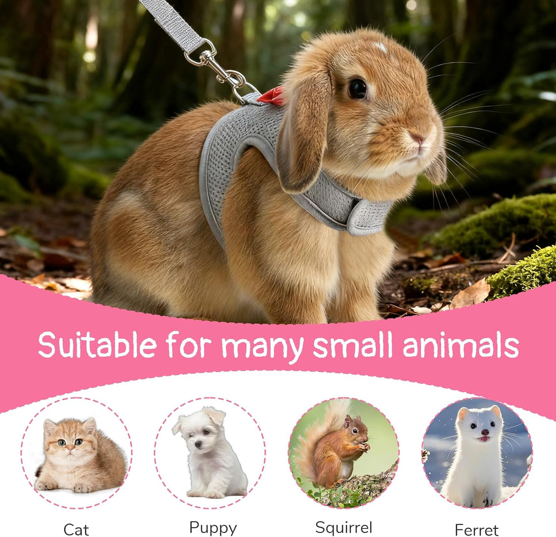 Bunny Harness and Leash Set Cute Bow Rabbit Leash Harness Set Escape