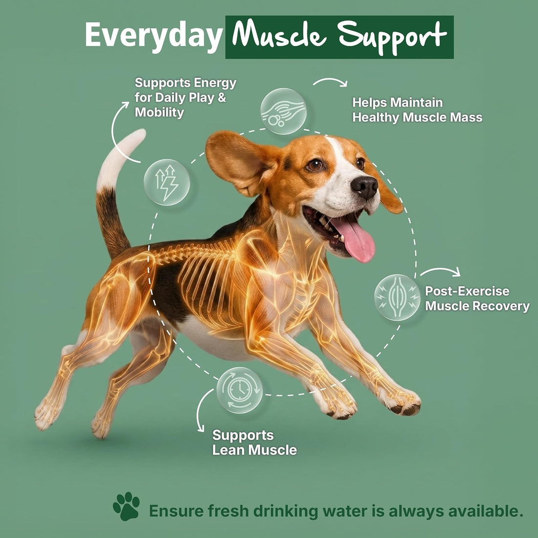 Mervue Muscle Builder for Dogs - L-Carnitine, BCAAs