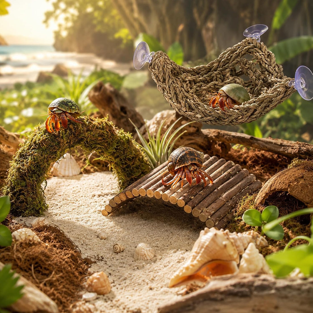 HERCCOCCI Hermit Crab Accessories