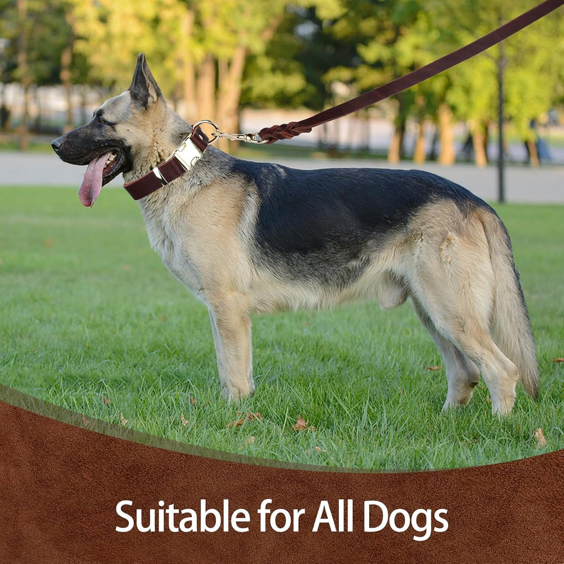 Leather Dog Collar and Leash Set