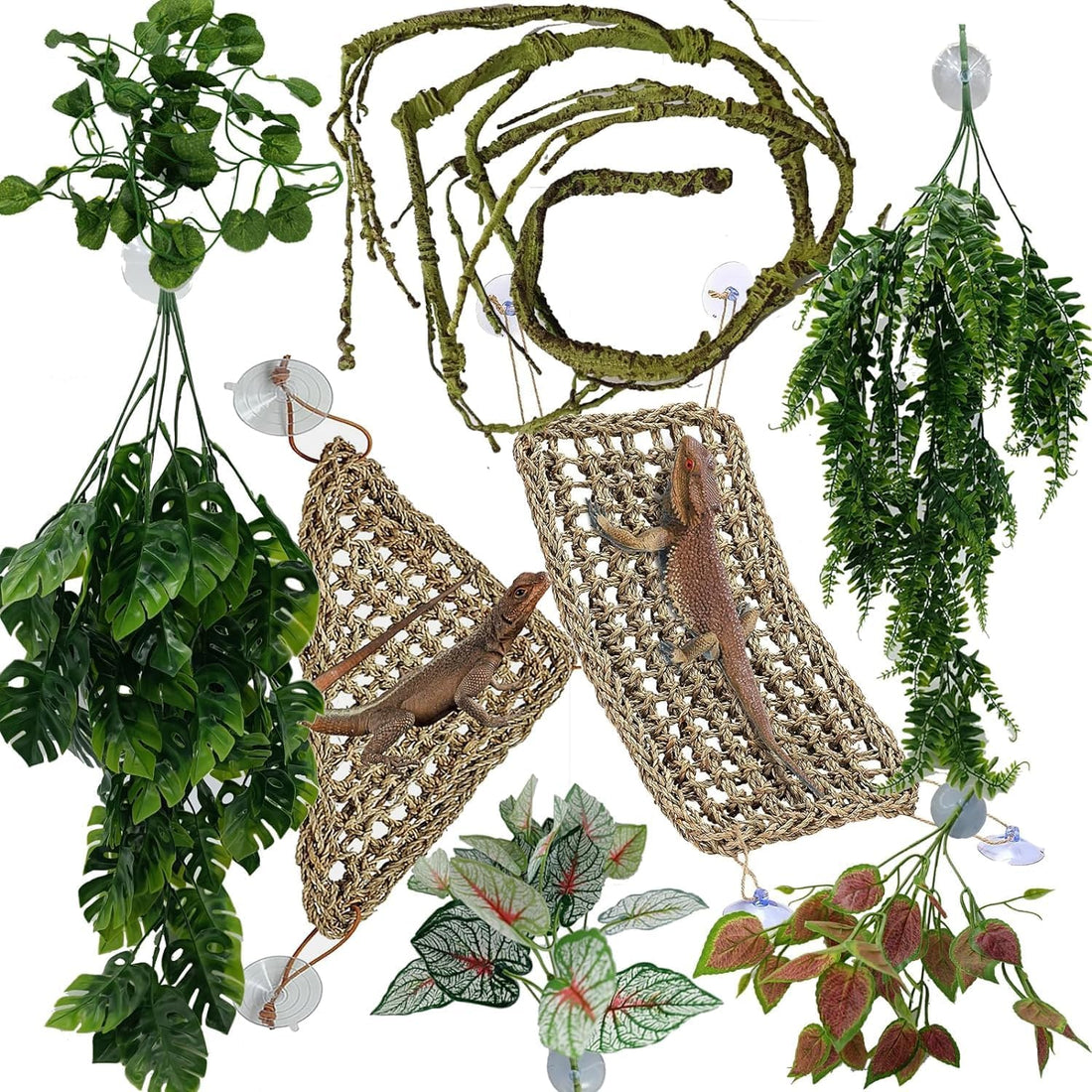 Reptile Plants for Bearded Dragon Tank Accessories