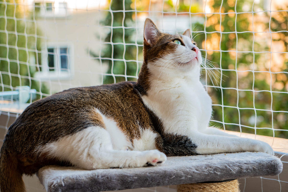 Cat Netting 10 * 13ft Cat Anti-Fall Net Duralble Nylon Balcony Screen