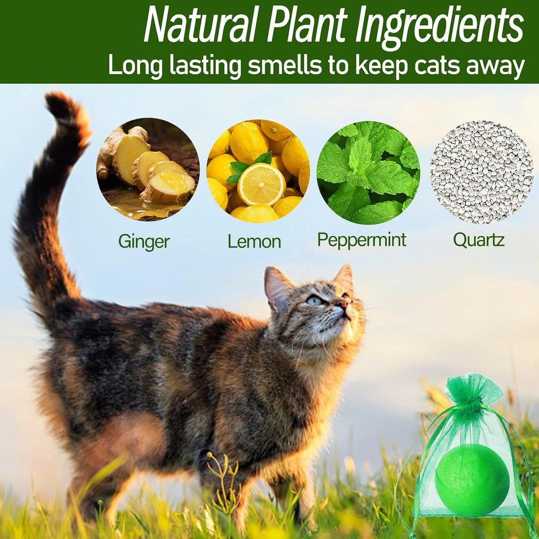 Cat Deterrent Outdoor & Indoor