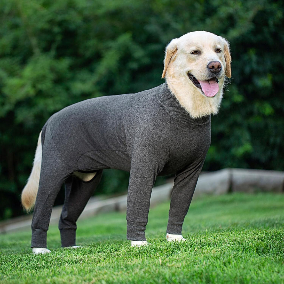 kzrfojy Dog Recovery Suit for Dogs After Surgery Female Male Medium