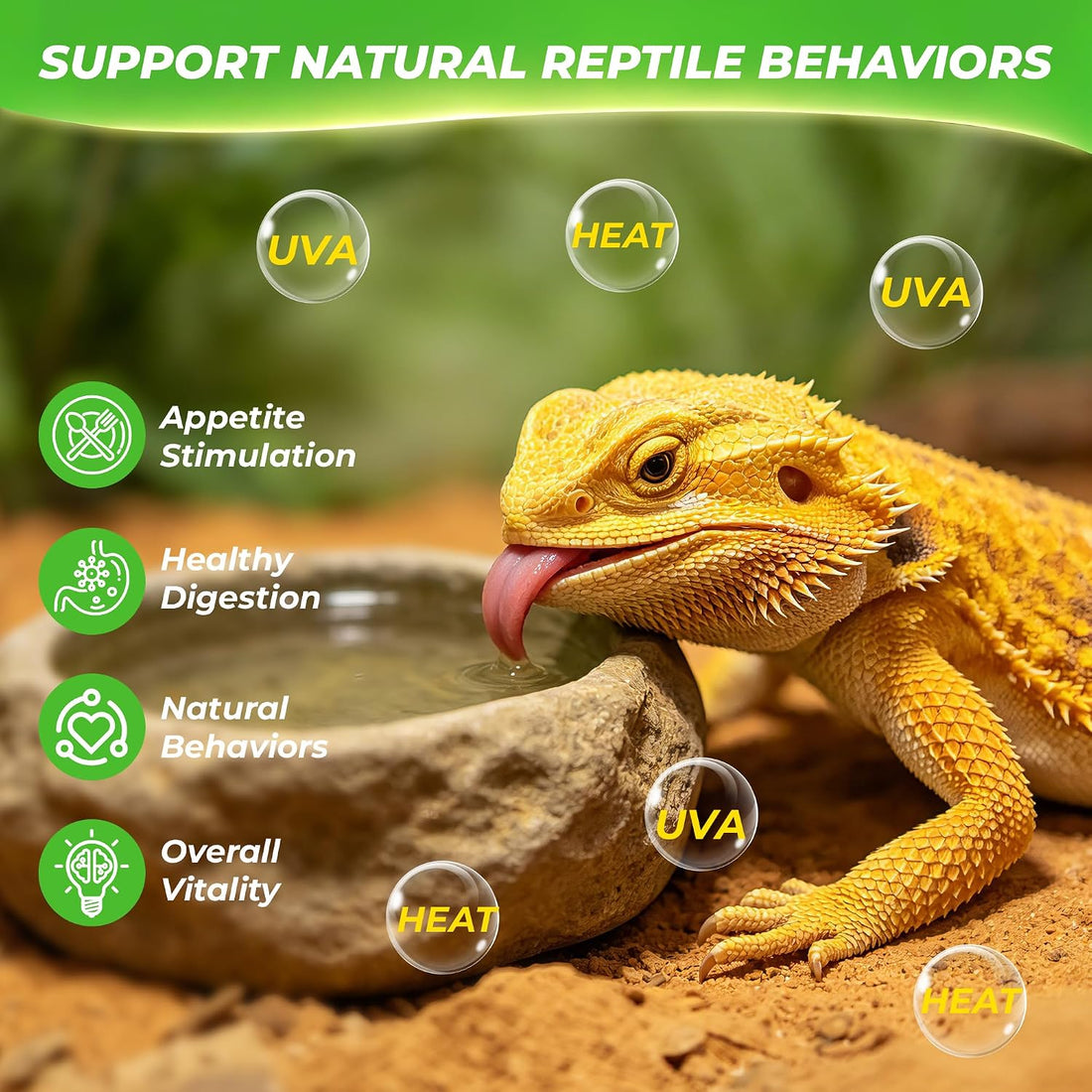 LUCKY HERP Reptile Heat Lamp Bulbs 100W