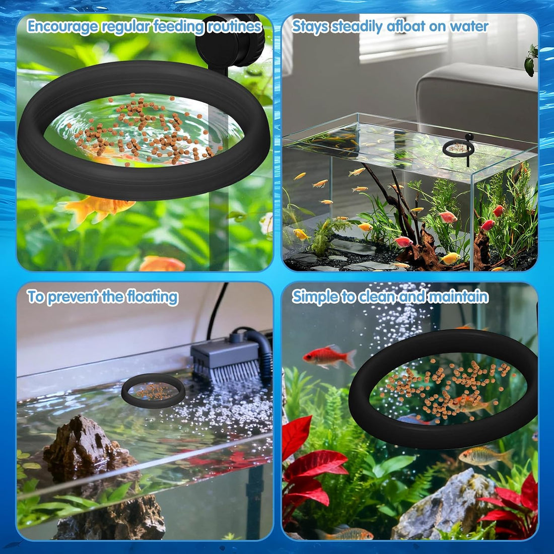 Magnetic Fish Feeding Ring, Automatic Turtle Feeder for Aquarium