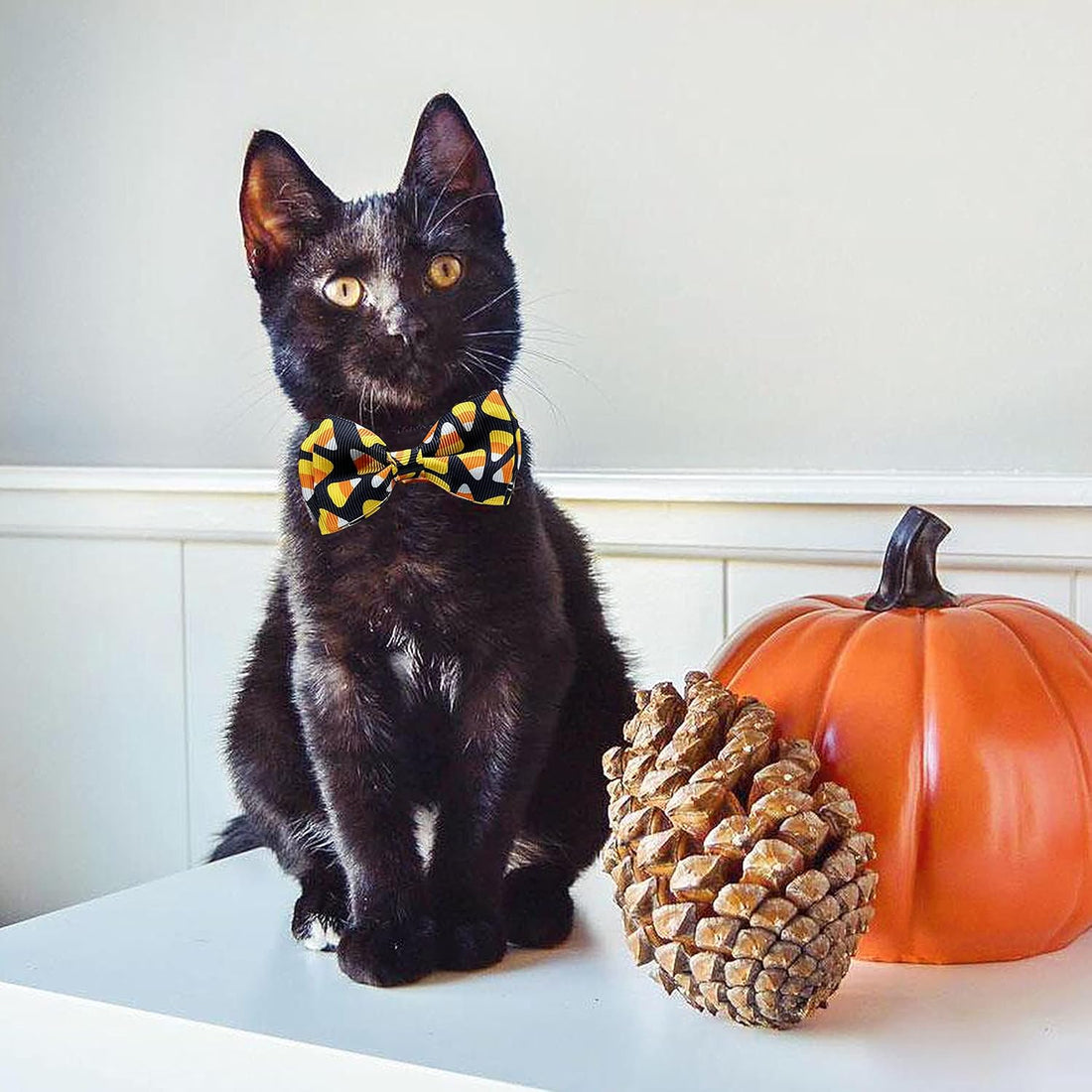 2 Pack Halloween Cat Collars with Bells, Breakaway