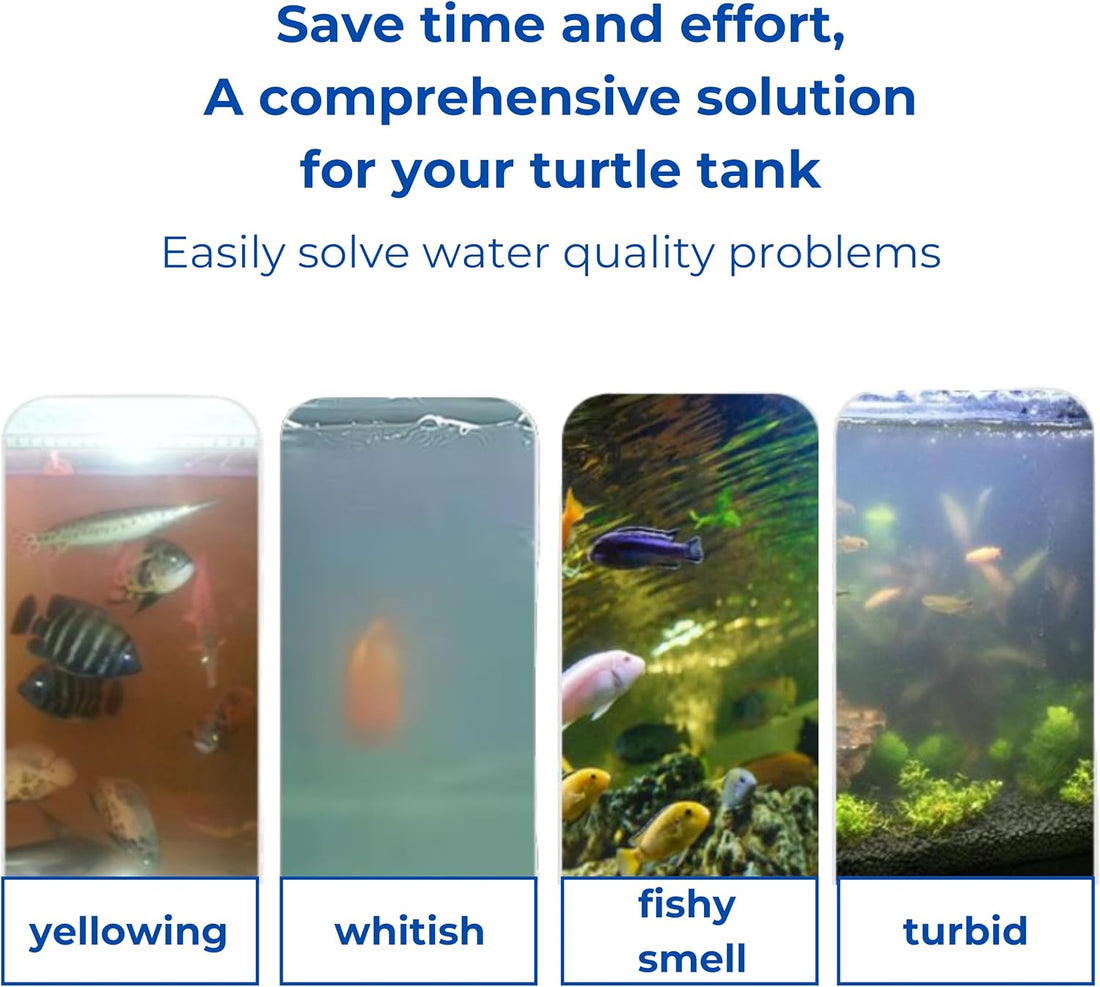 Turtle Feeding Ring for Fish Tank and 4pcs Nitrifying Balls Set