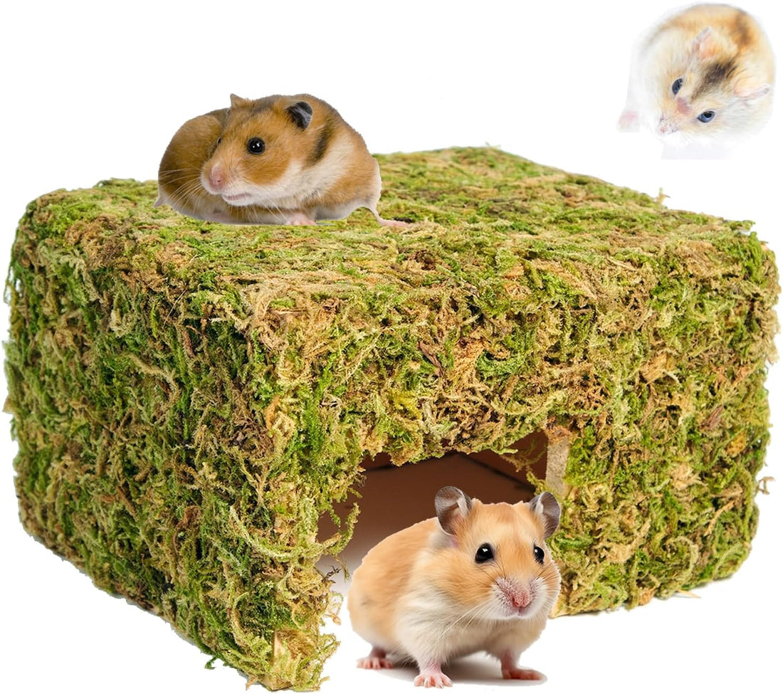 Hamster Hideout - Large, Natural Moss, Handcrafted for Syrian Hamsters