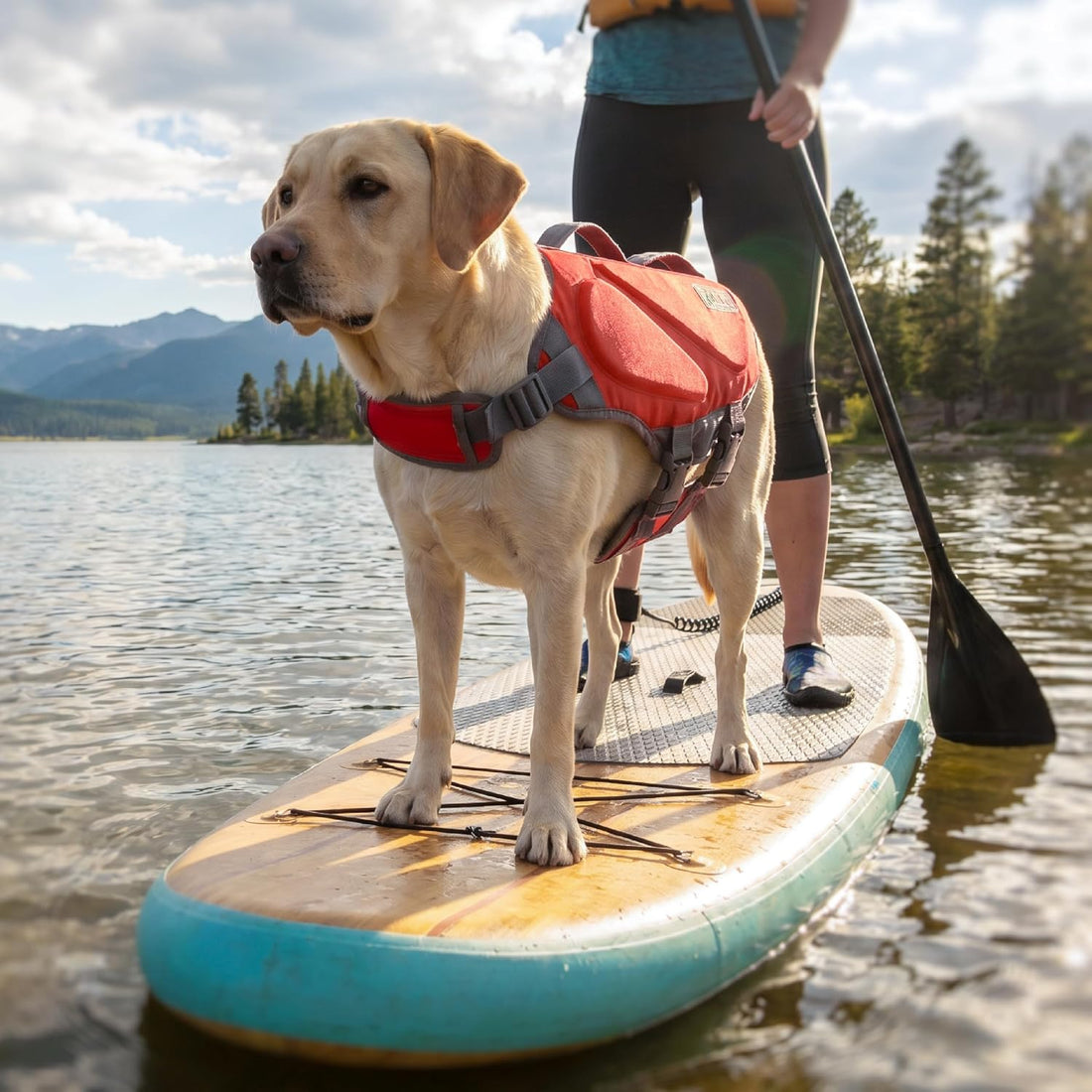 Outward Hound Dawson Swim Dog Life Jacket, Life Vest, Red, Large