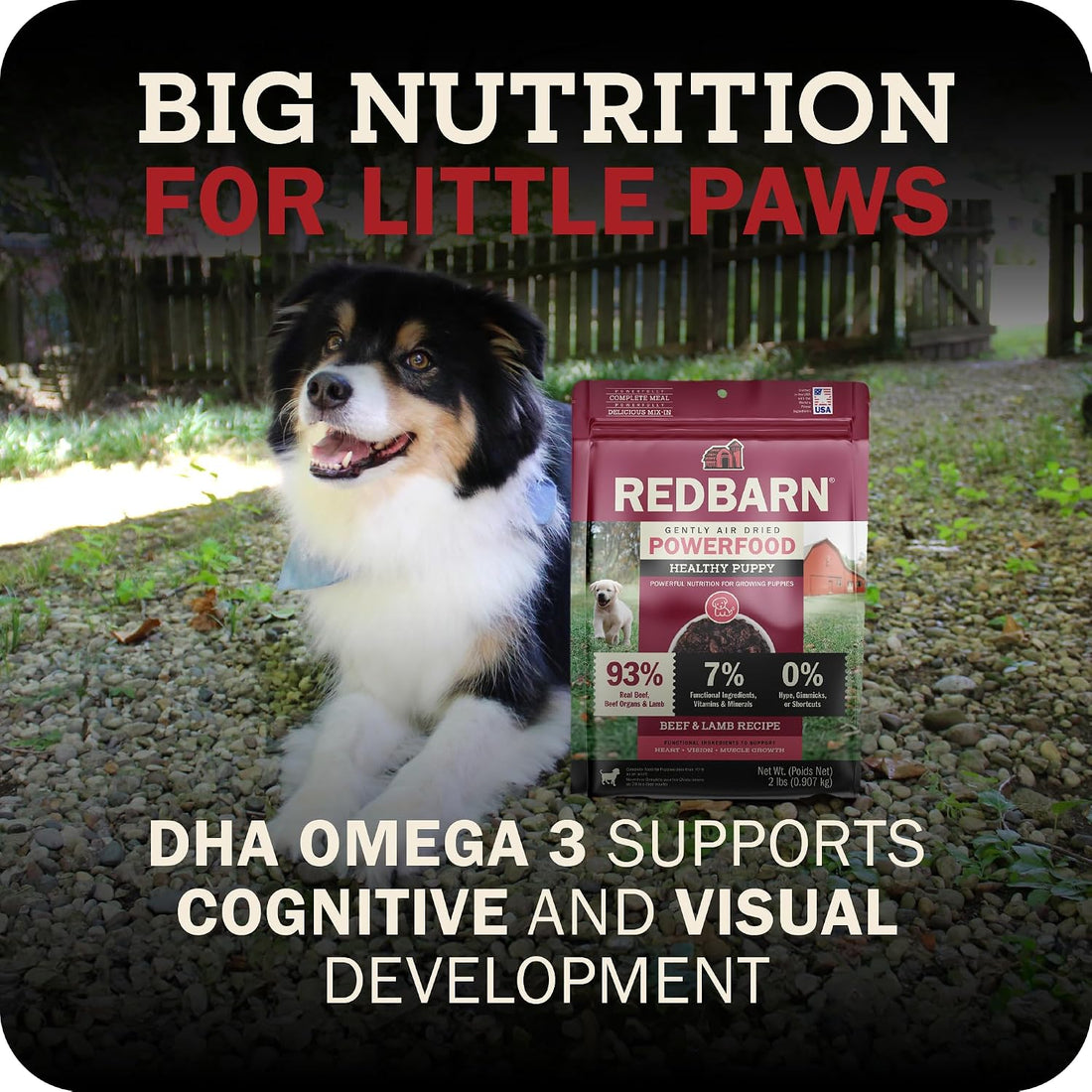 Redbarn Puppy Powerfood Air Dried Dog Food or Dry Topper, Beef & Lamb