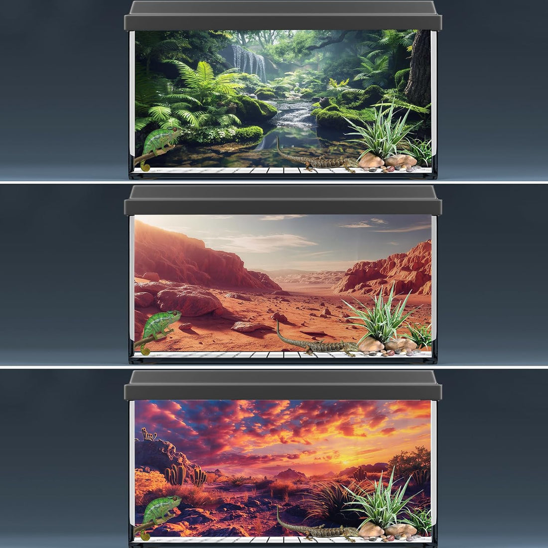 COMSUN 3 Pack Terrarium Background