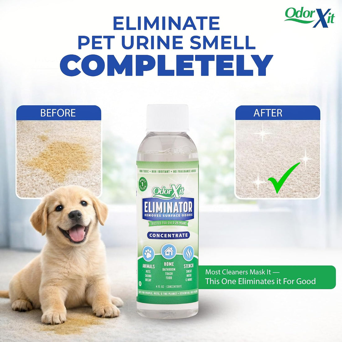 OdorXit Pet Urine Odor Eliminator