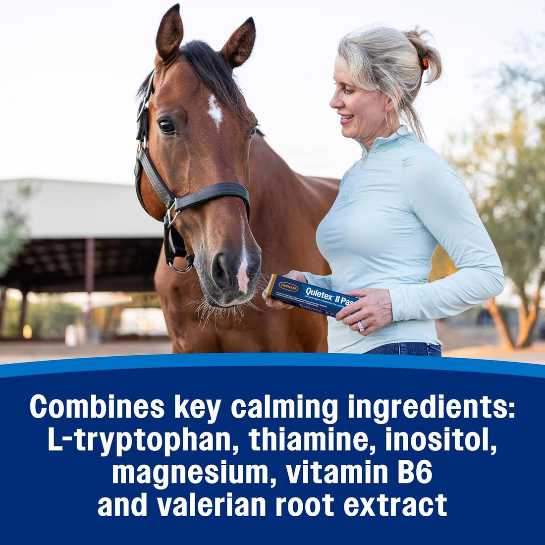 Farnam Quietex II Horse Calming Paste, 32.5 ml Syringe
