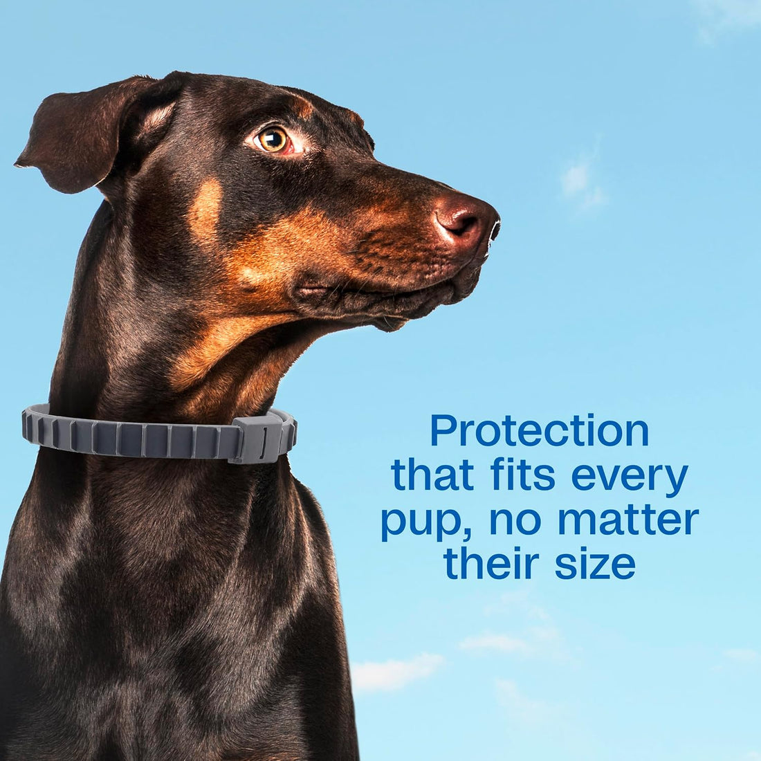 ADAMS Flea & Tick Collar for Dogs & Puppies, Kills Fleas & Ticks