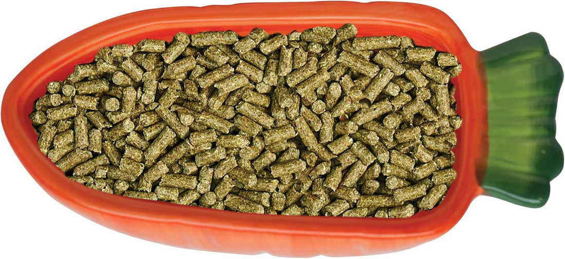 Kaytee Vege-T-Bowl Carrot 7.5 inches