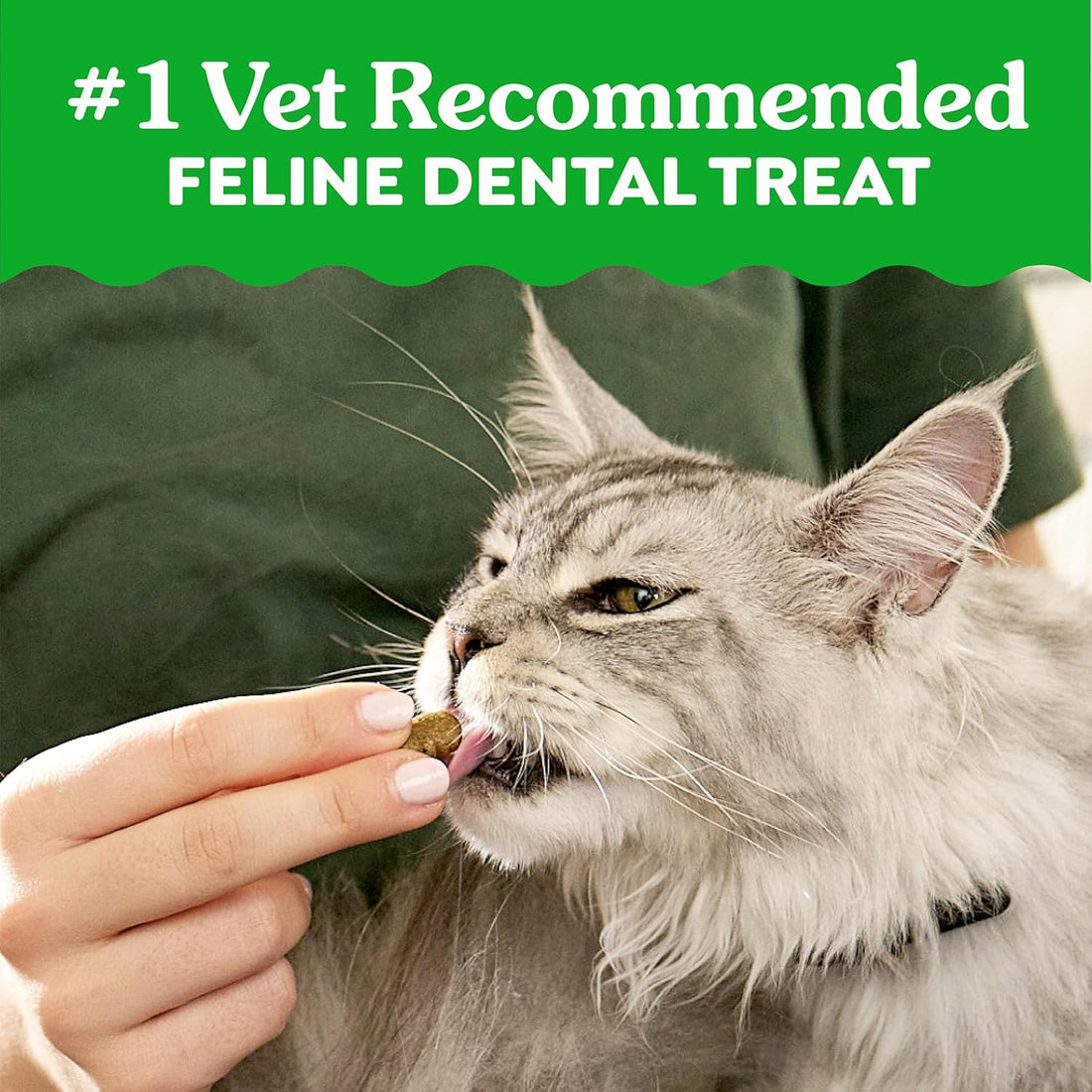 Greenies Cat Treats, Veterinarian-Recommended Adult Natural Dental