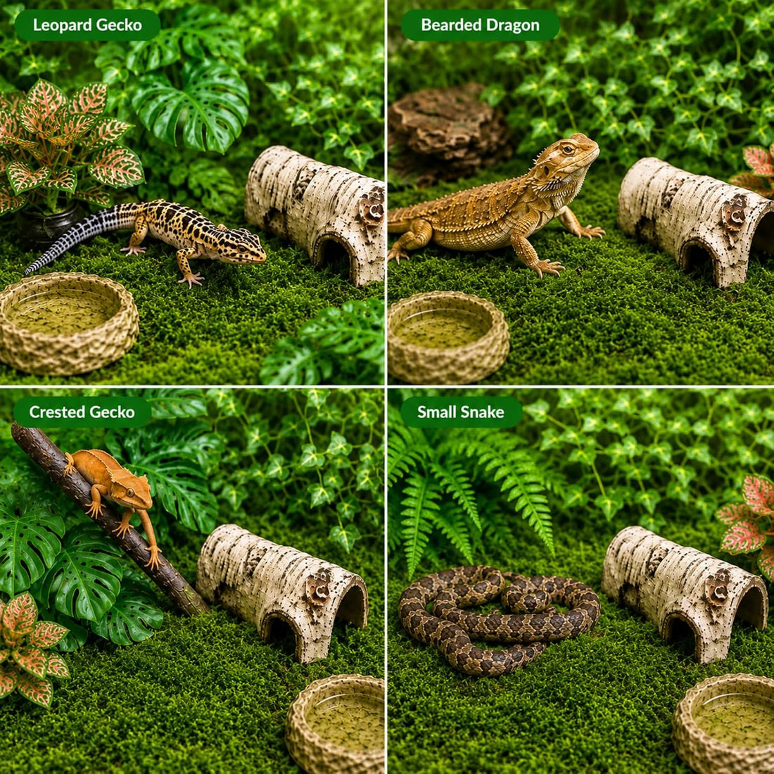 LIKZINWA Reptile Terrarium Decor Kit with Jungle Plants & Vines