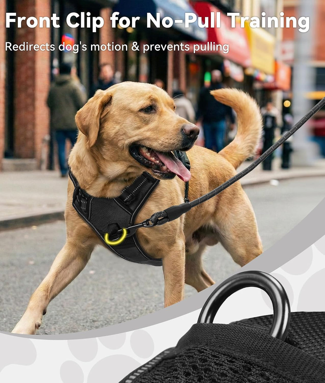 Joytale No Pull Dog Harness Medium Sized Dog