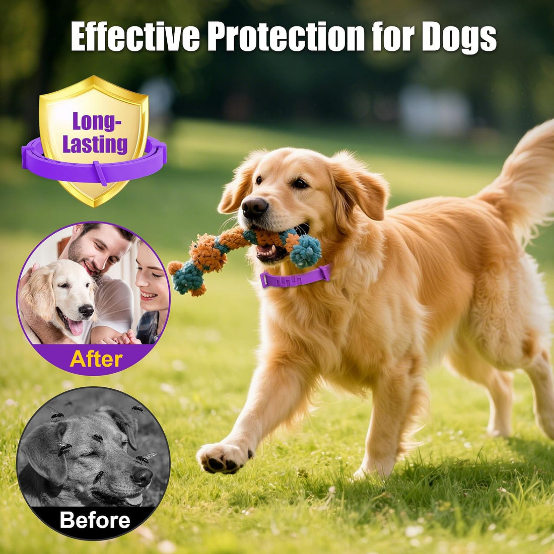 4 Pack Dog Collars for Small Medium Large Dog, Flea and Tick Collar