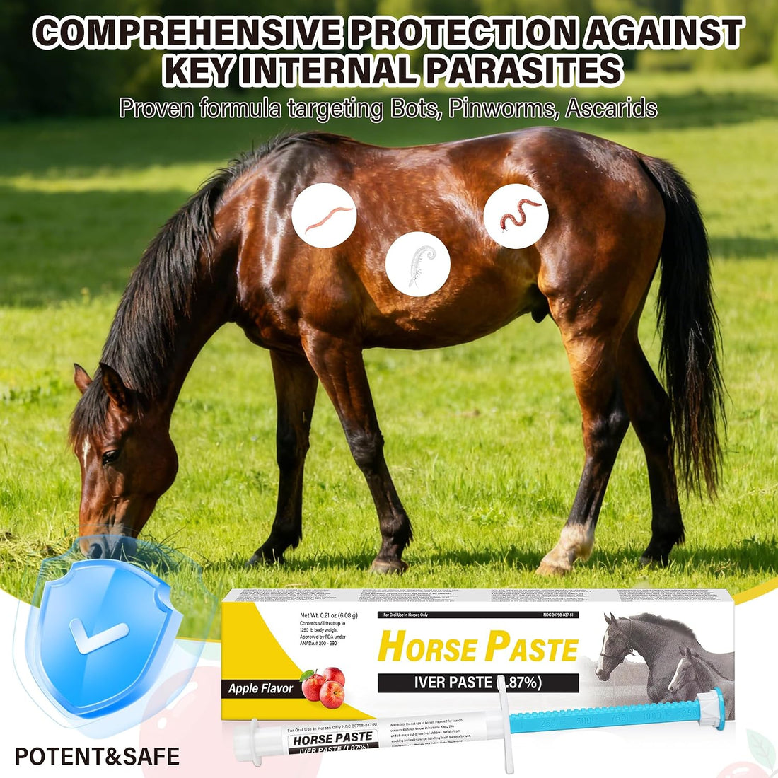 12 Pack Equine Paste 1.87% – Apple Flavored Oral for Horse
