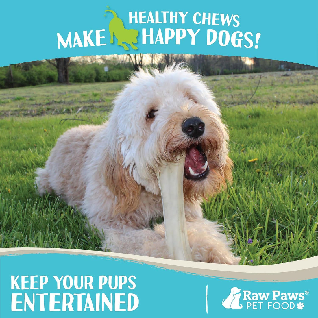 Raw Paws 10-inch Compressed Rawhide Bones for Dogs - Large, 10-Count