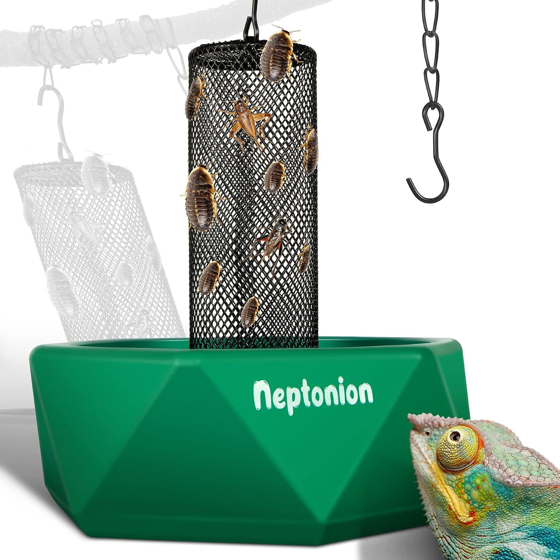 Hookable Chameleon Feeding Bowl