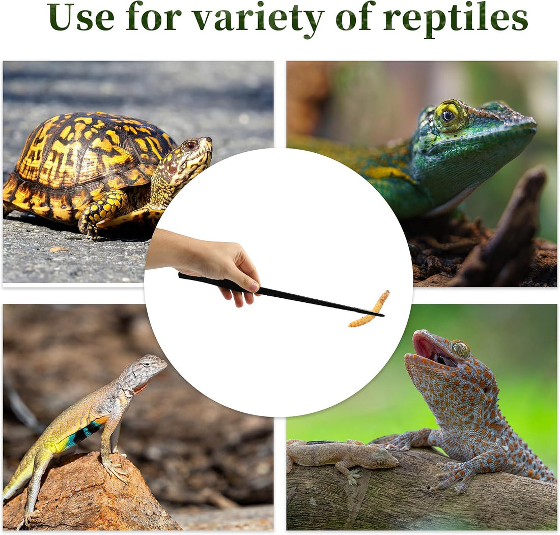 Reptile Feeding Tongs, Stainless Steel Lizard Feeding Tongs