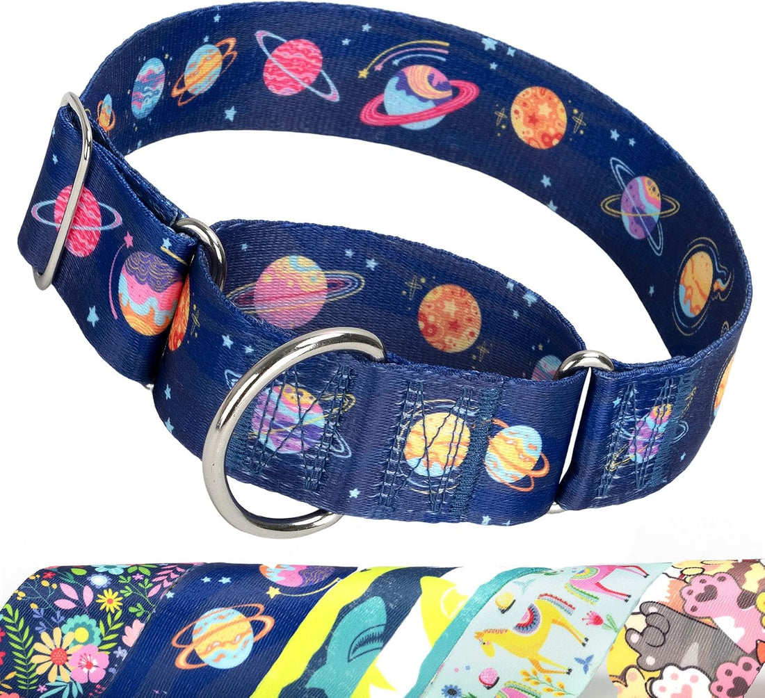 Wide Martingale Collar for Dogs,Red Floral No Pull Dog Collar